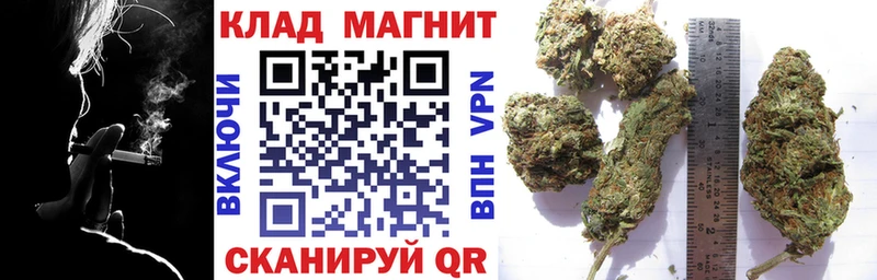 Купить закладку Бошки Шишки  Мефедрон  APVP  ГАШ  Верхний Тагил