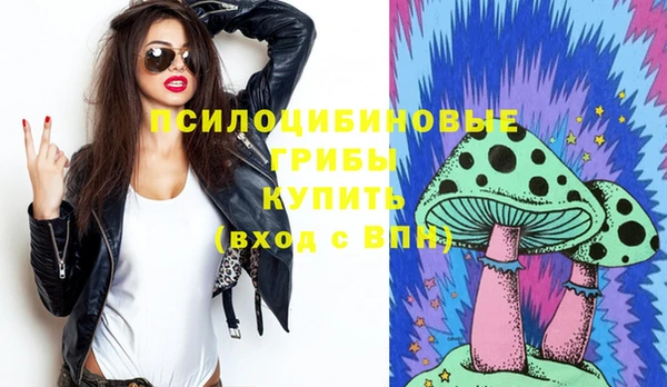 крисы Аркадак