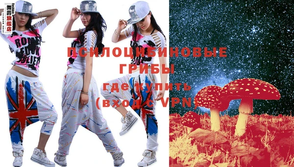 крисы Аркадак