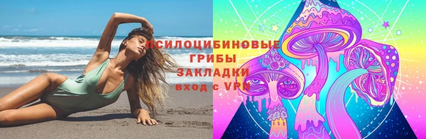 бошки Арсеньев