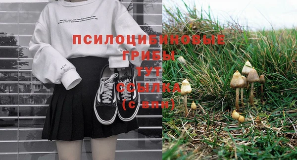 крисы Аркадак