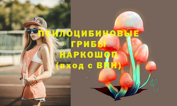 крисы Аркадак